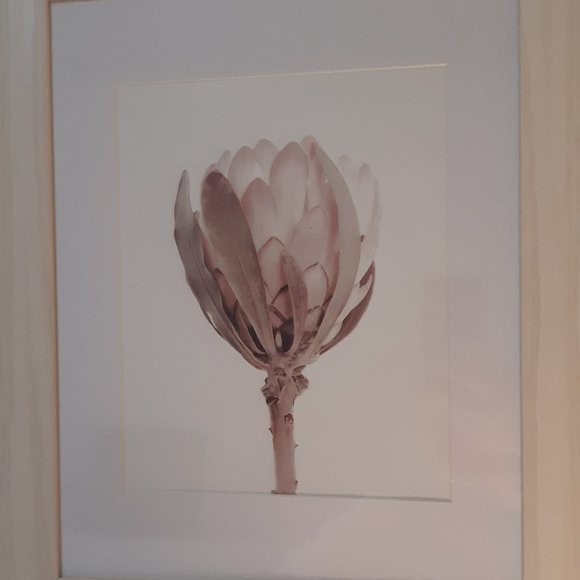 Set of 3 prints with frames - Picture 2 of 5